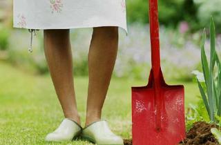 Grundstück zu kaufen in 38855 Heudeber, Gartenfreunde aufgepasst!