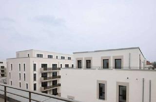 Sozialwohnungen mieten in Marianne-Foerster-Straße, 13089 Heinersdorf (Weißensee), Schöne 1-Zimmer-Wohnung im Neubau ohne WBS