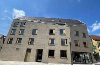 Lofts mieten in Biberstr. 2/1, 89537 Giengen, Wohnen auf 60m² im Loft-Stil *Neubau*
