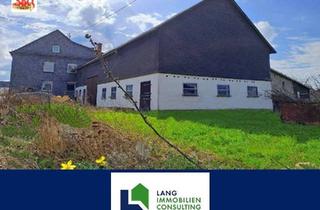 Bauernhaus kaufen in 55483 Kappel, Zweifamilienhaus mit neuer Nahwärme, Carport und Scheune – viel Platz für Wohnen & Hobby