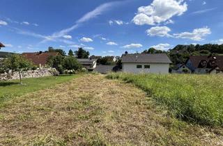 Grundstück zu kaufen in Ziegelgasse 27, 96182 Reckendorf, Bauland mit viel Platz und Zweifamilienhaus