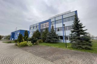 Immobilie mieten in Sensientstraße, 06766 Bitterfeld-Wolfen, Flexible Büro- und Laborflächen sofort verfügbar