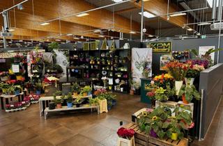 Gewerbeimmobilie mieten in In Der Herrenwiese 30, 57271 Hilchenbach, Mietfläche für Blumengeschäft im REWE Hilchenbach