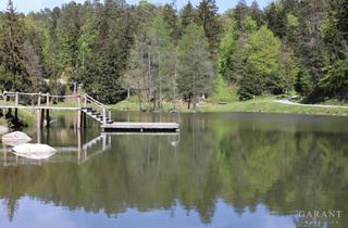 Einfamilienhaus kaufen in 94163 Saldenburg, Sommerfeeling am See