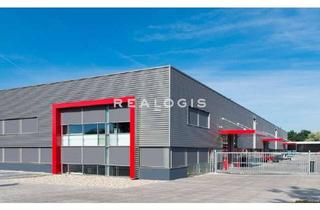 Gewerbeimmobilie mieten in 55294 Bodenheim, NEUBAU: ca. 3.600 qm Lager- / Produktionsflächen | ebenerdig | ca. 6,90 m UKB