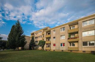 Wohnung mieten in Württemberger Allee 20, 33689 Sennestadt, 3-Zimmer-Wohnung mit Balkon zur Westseite, EG links, Württemberger Allee 20 in Sennestadt