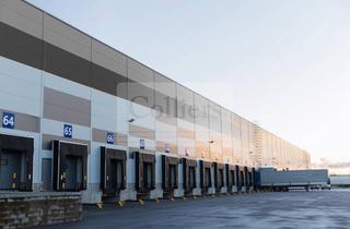 Gewerbeimmobilie mieten in 33175 Bad Lippspringe, Logistik und Gewerbe Neubau 2025 | 24/7 | WGK 3