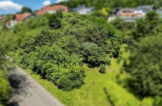 Grundstück zu kaufen in 74821 Mosbach, Schönes Grundstück in Diedesheim