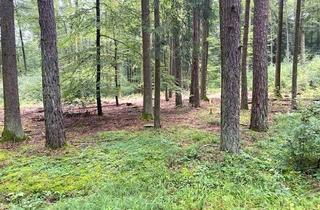 Gewerbeimmobilie kaufen in 93309 Kelheim, Wald bei Kelheim/Herrnsaal mit tollem Baumbestand