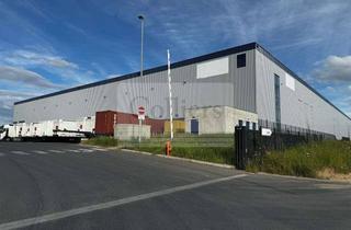 Gewerbeimmobilie mieten in 52353 Düren, Logistikhalle in Düren | Rampen | 12,20 m Deckenhöhe | Sprinklerung