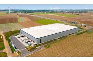 Gewerbeimmobilie mieten in 52353 Düren, Logistikhalle mit 17 Rampen / WGK 3 / ab sofort
