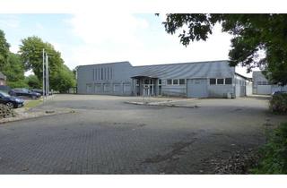 Büro zu mieten in 48565 Steinfurt, 6495 m² Hallen, Büros, Werkstatt und 15000 m² Freifläche in Steinfurt- Borghorst