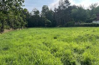 Grundstück zu kaufen in 31547 Rehburg-Loccum, KARSTEN IMMOBILIEN ermöglicht Ihnen: Großes Baugrundstück im Grünen in Münchehagen / Rehburg-Loccum