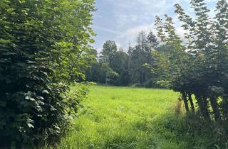 Grundstück zu kaufen in 31547 Rehburg-Loccum, Exklusiv bei KARSTEN IMMOBILIEN: Baugrundstück im Grünen, in Münchehagen/Rehburg-Loccum