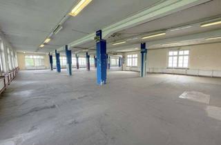 Gewerbeimmobilie kaufen in 32361 Preußisch Oldendorf, Für Unternehmen und Investoren, Gewerbekomplex in Pr. Oldendorf!