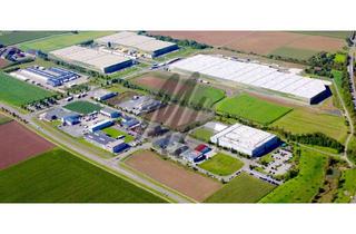 Büro zu mieten in 64579 Gernsheim, KEINE PROVISION ✓ Lager-/Produktion (5.000 m²) mit Büro (500 m²) & Freilager (4.000 m²)