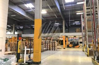 Büro zu mieten in 64579 Gernsheim, KEINE PROVISION ✓ RAMPE + EBEN ✓ Lager-/Produktion (4.500 m²) mit Büro zu vermieten