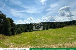 Grundstück zu kaufen in 95691 Hohenberg, Schönste Aussicht im Fichtelgebirge