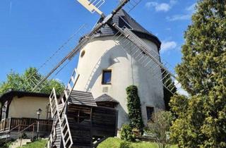 Haus kaufen in Steinbacher Straße 56, 01157 Dresden, DRESDEN: Sanierte Holländerwindmühle mit nachgefragtem Restaurantbetrieb