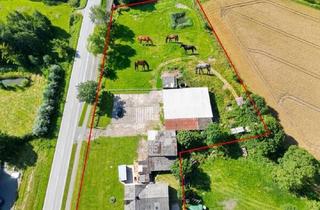 Haus kaufen in 25719 Barlt, Tierfreunde aufgepasst. Wohnhaus mit Nebengelass auf 6.800 m²