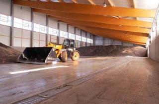 Gewerbeimmobilie mieten in Am Österreicher, 04880 Elsnig, Schüttfähige Lager-/Gewerbehallen für unterschiedlichste Erzeugnisse und Anwendungen