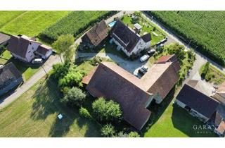 Haus kaufen in 79227 Schallstadt, Visionäre gesucht! Denkmalgeschütztes Gehöft im Außenbereich von Schallstadt