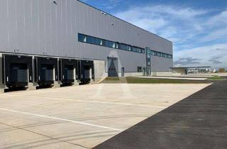 Gewerbeimmobilie mieten in 52457 Aldenhoven, NEUBAU EINER LOGISTIKIMMOBILIE | RAMPE + EBENERDIG | 10,00m UKB