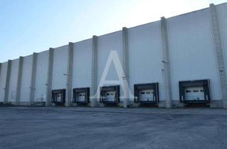 Gewerbeimmobilie mieten in 50181 Bedburg, LOGISTIKFLÄCHEN IN BEDBURG | MIETE | 9,50 M HÖHE | BEHEIZT | ANGERMANN NRW