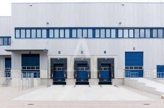 Gewerbeimmobilie mieten in 53359 Rheinbach, NEUBAU-GEWERBEPARK | RAMPE + EBENERDIG | MODERN UND REPRÄSENTATIV | 7,50 M UKB