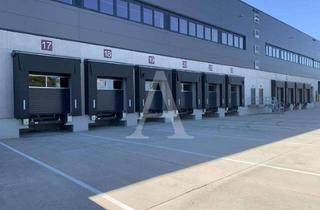 Gewerbeimmobilie mieten in 53881 Euskirchen, LOGISTIK IN EUSKIRCHEN | RAMPE & EBENERDIG | 12 M UKB | BEHEIZBAR