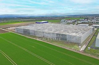 Gewerbeimmobilie mieten in 53909 Zülpich, EXKLUSIV ÜBER BNPPRE // LOGISTIK // kurzfristig Verfügbar// 12,325m UKB // Optimale Anbindung