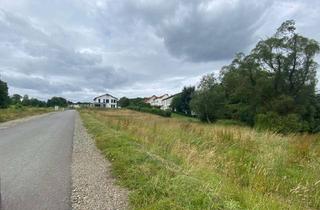 Grundstück zu kaufen in Vincentiusstraße, 34431 Marsberg, Attraktives Baugrundstück in Randlage von Marsberg - Teilung möglich!