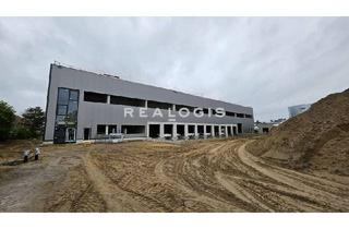 Gewerbeimmobilie mieten in 35418 Buseck, NEUBAU: Ca. 10.000 qm Lager- / Logistikfläche | 10x Rampe + ebenerdig | ca. 10,00 m UKB