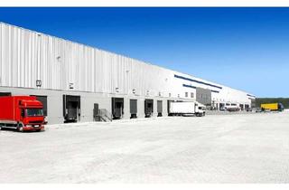 Gewerbeimmobilie mieten in 35463 Fernwald, NEUBAU: bis zu ca. 19.000 qm Lager- / Logistikfläche | 20x Rampe + ebenerdig | ca. 10,00 m UKB