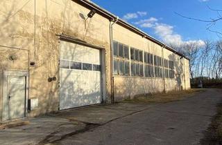 Gewerbeimmobilie mieten in 18273 Güstrow, Gewerbehalle in Güstrow