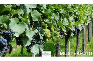 Anlageobjekt in 71384 Weinstadt, Weinberg in Weinstadt