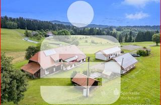 Haus kaufen in 79736 Rickenbach, "Pferdehof" mit drei Wohneinheiten in Alleinlage - 52.000 qm Grünfläche direkt am Gebäude