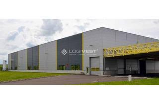Gewerbeimmobilie mieten in 37327 Leinefelde-Worbis, Funktionale Hallenfläche für Lagerung, Werkstatt und Produktion