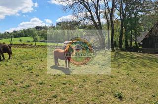 Bauernhaus kaufen in 95356 Grafengehaig, RESERVIERT! Uriges freistehendes Bauernhaus für 1-2 Familien, mit viel Platz zur Tierhaltung