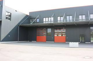 Gewerbeimmobilie mieten in 58540 Meinerzhagen, Neue Industriehalle / KFZ-Werkstatt für fast alle Branchen