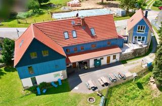 Gewerbeimmobilie kaufen in 01855 Sebnitz, Ferienapartments als top Kapitalanlage! Umgebinde-Apartmenthaus mit 6 Wohnungen und Ferienhaus