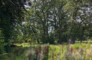 Grundstück zu kaufen in Kalfstraße 92, 52159 Roetgen, erschlossenes Baugrundstück in Roetgen - von privat zu verkaufen