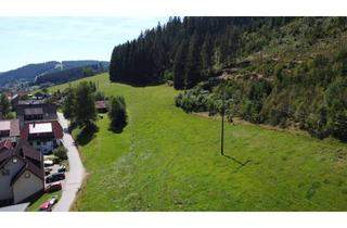 Grundstück zu kaufen in 78147 Vöhrenbach, Grundstück mit viel Potential - im herrlichen Naturpark Südschwarzwald!