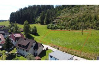 Grundstück zu kaufen in 78147 Vöhrenbach, Grundstück mit viel Potential - im herrlichen Naturpark Südschwarzwald!
