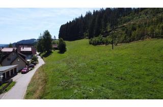 Grundstück zu kaufen in 78147 Vöhrenbach, Grundstück mit viel Potential - im herrlichen Naturpark Südschwarzwald!
