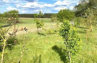 Einfamilienhaus kaufen in 15528 Spreenhagen, - Spreenhagen/ Einfamilienhaus mit Keller u.Garage + sep.Bauland (Eigentümerwohnrecht erwünscht)