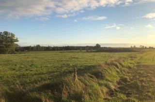 Grundstück zu kaufen in 18337 Marlow, Wunderschöne Grundstücke in Völkshagen voll erschlossen