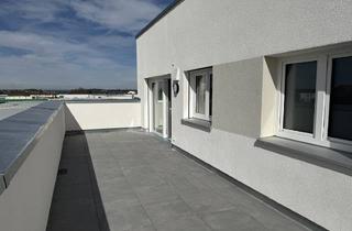 Penthouse kaufen in 74564 Crailsheim, NUR NOCH 1 WOHNUNG FREI - Penthouse - QNG zertifiziert (KfW40) - Neubau/Erstbezug in Roßfeld