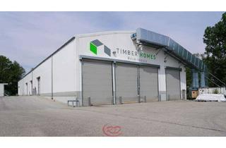 Gewerbeimmobilie kaufen in 84405 Dorfen, Leichtbauhalle mit hochwertiger Ausstattung, zum Selbstabbau und Aufbau auf eigenem Grundstück