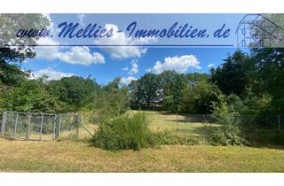 Grundstück zu kaufen in 29562 Suhlendorf, Großes Grundstück in Suhlendorf OT.